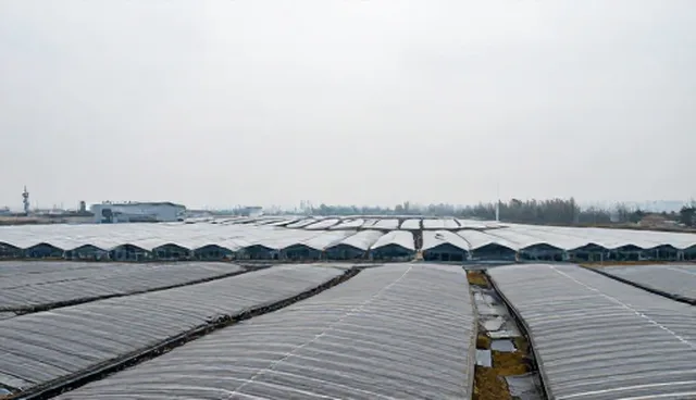 技术推广中的选型关注点及优化建议